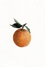 Load image into Gallery viewer, Watercolor Prints by Annie Brown - These Hands Makers Collective