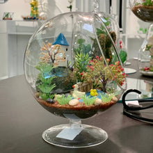 Load image into Gallery viewer, WGV Slant Bowl Terrarium On Stem - 6" x 7"H - These Hands Makers Collective