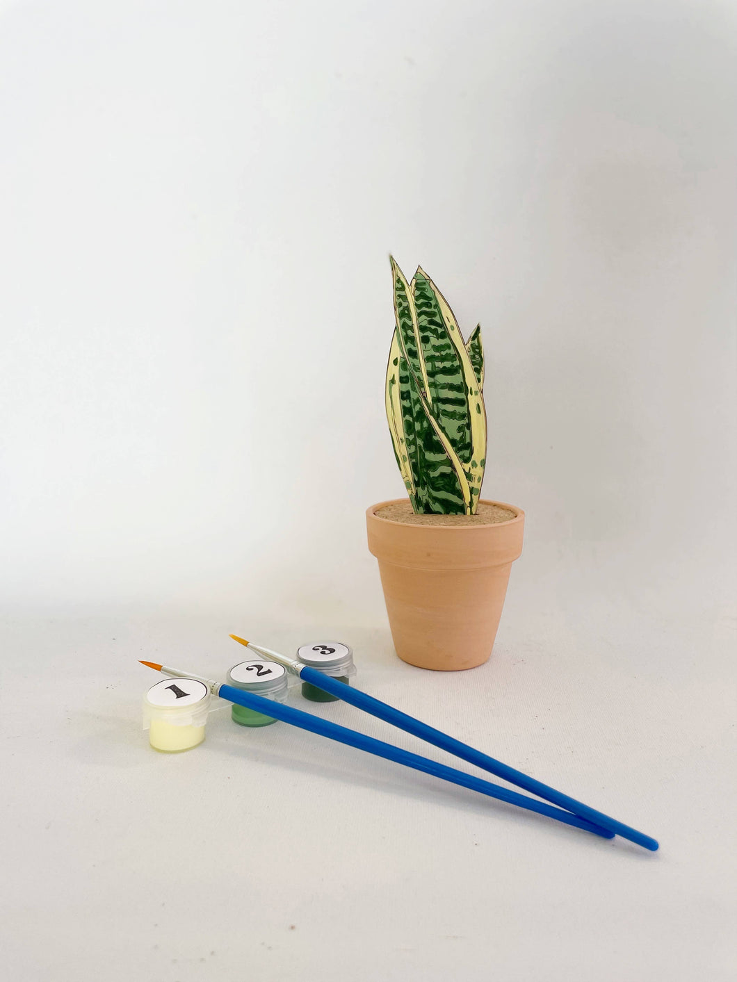 Paint Your Own: Snake Plant: Single Set