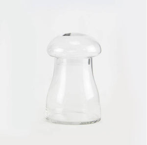 10" Glass Mushroom Terrarium