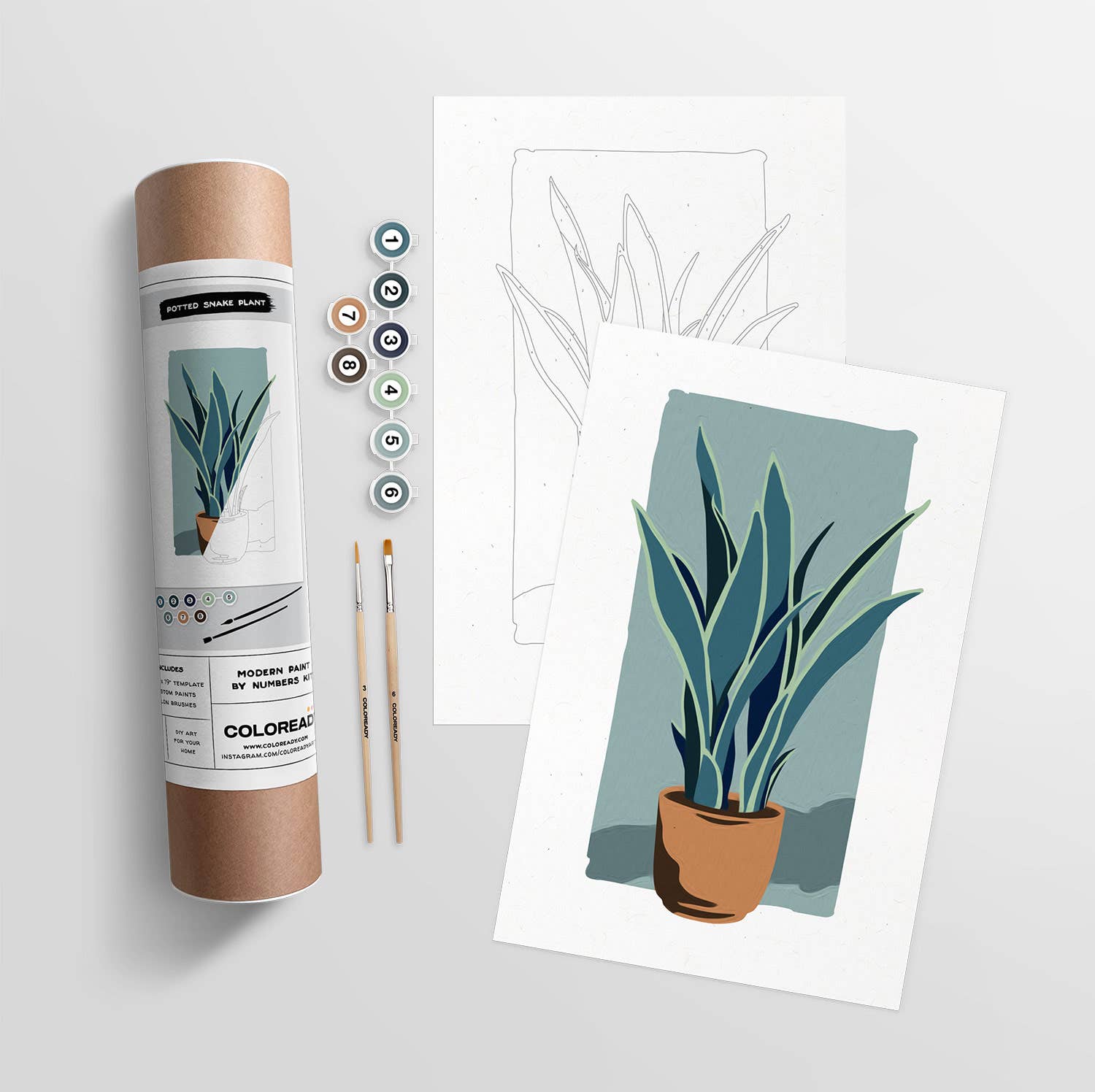 Potted Snake Plant | Modern Paint By Numbers Kit