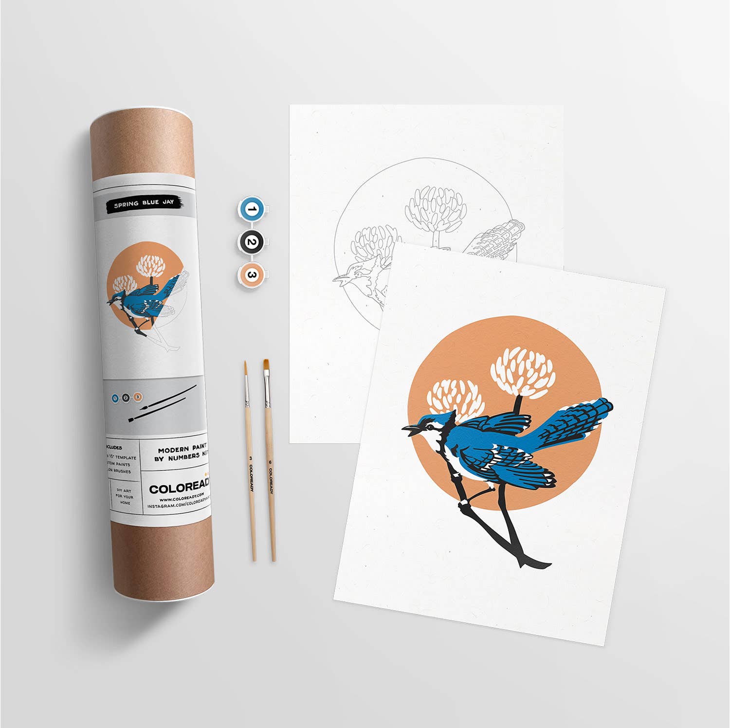 Spring Blue Jay | Modern Paint By Numbers Kit