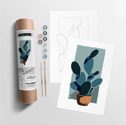 Potted Cactus | Modern Paint By Numbers Kit