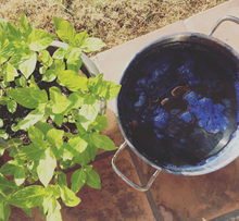 Load image into Gallery viewer, JUL 10th IN-PERSON - Indigo Shibori Scarves or Box Top Workshop with Hilary Hahn