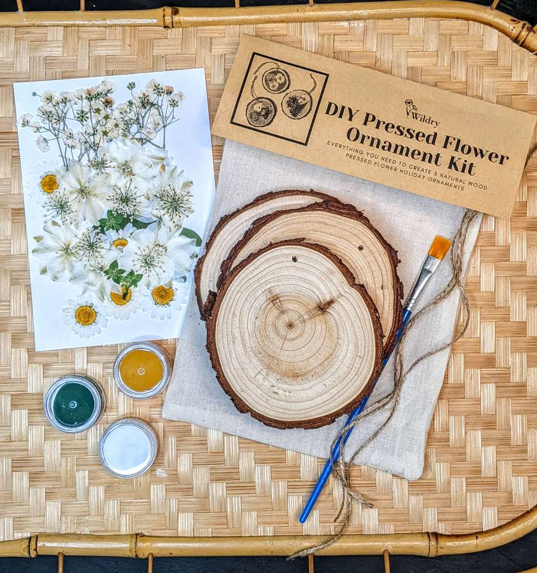 DIY Ornaments - Painting Kit — Wildflower Art Studio