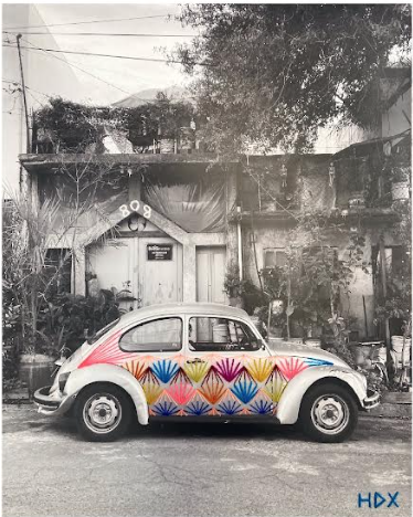 Vochos Series