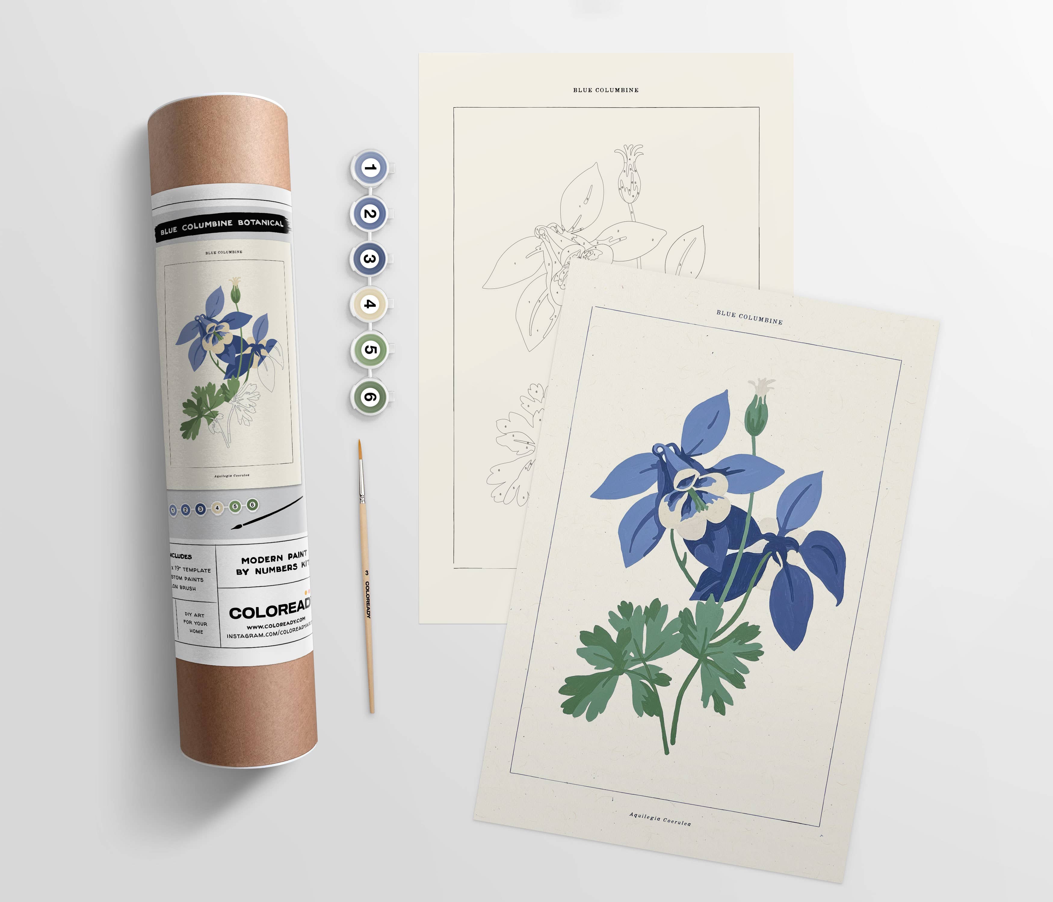 Blue Columbine Botanical | Modern Paint By Numbers Kit