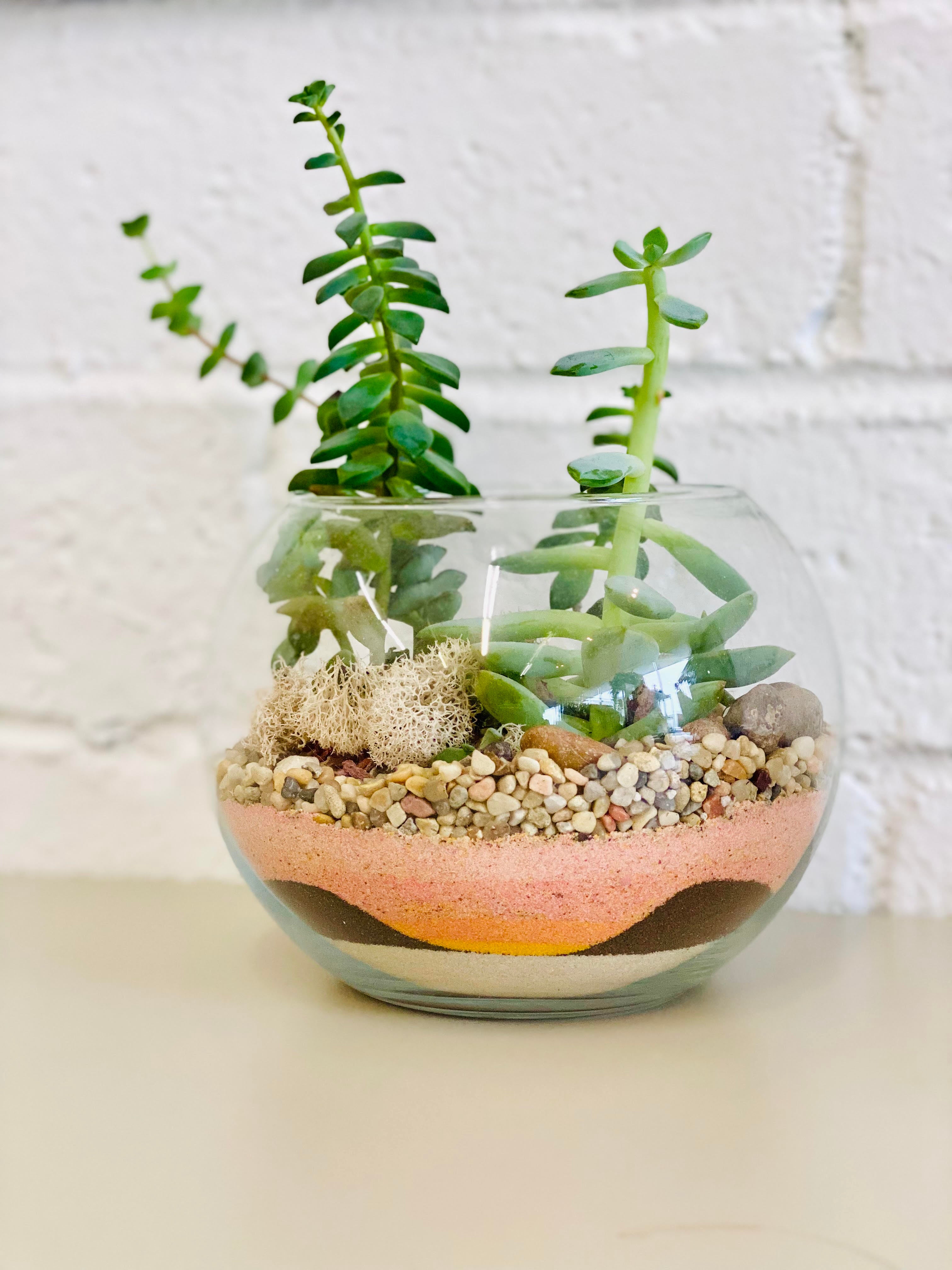 Terrarium