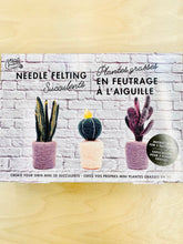 Load image into Gallery viewer, Needle Felting Succulents Set
